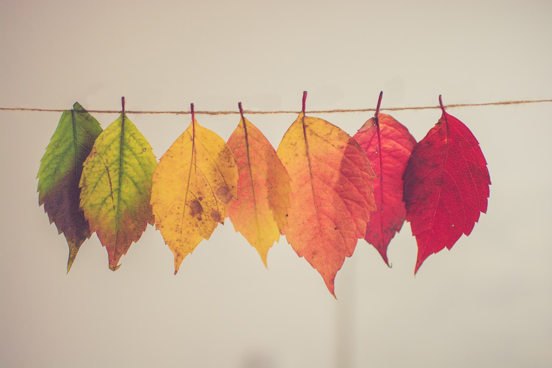 My 1st Post: Resolve for Change